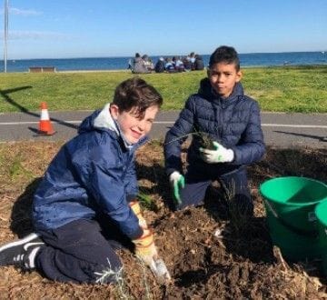 St Columba's - finalists for 2 RSS School Awards! St Columba's - finalists for 2 RSS School Awards!